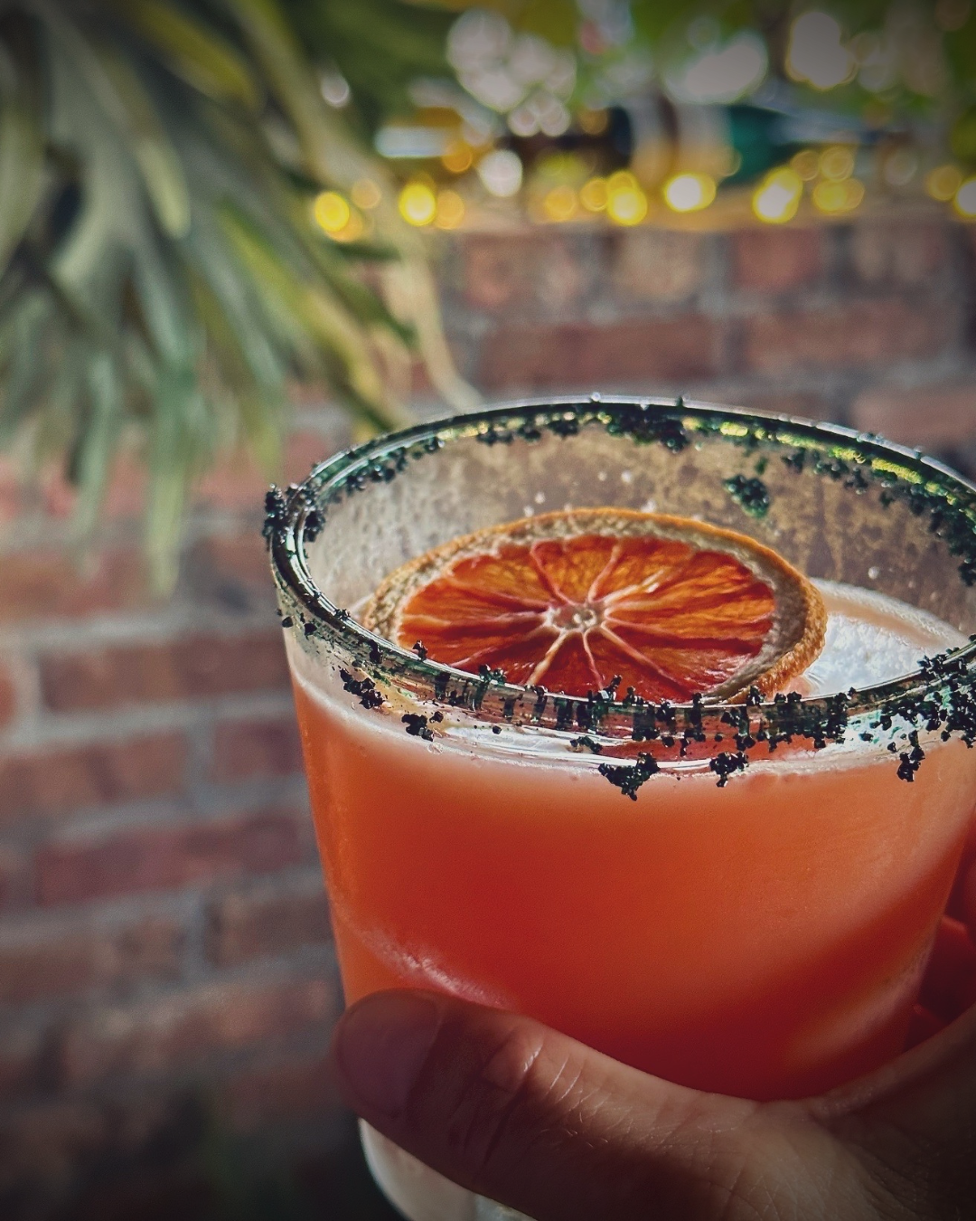 dehydrated blood-orange wheels for cocktail garnish from Preserved Peel