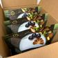 Case⇢ Bulk Dried Lime Slices | 270± Servings | Preserved Peel Premium DRIED FRUITS | BULK SIZE | for Luxury Cocktail Garnishes for Bars and Home Hosts.