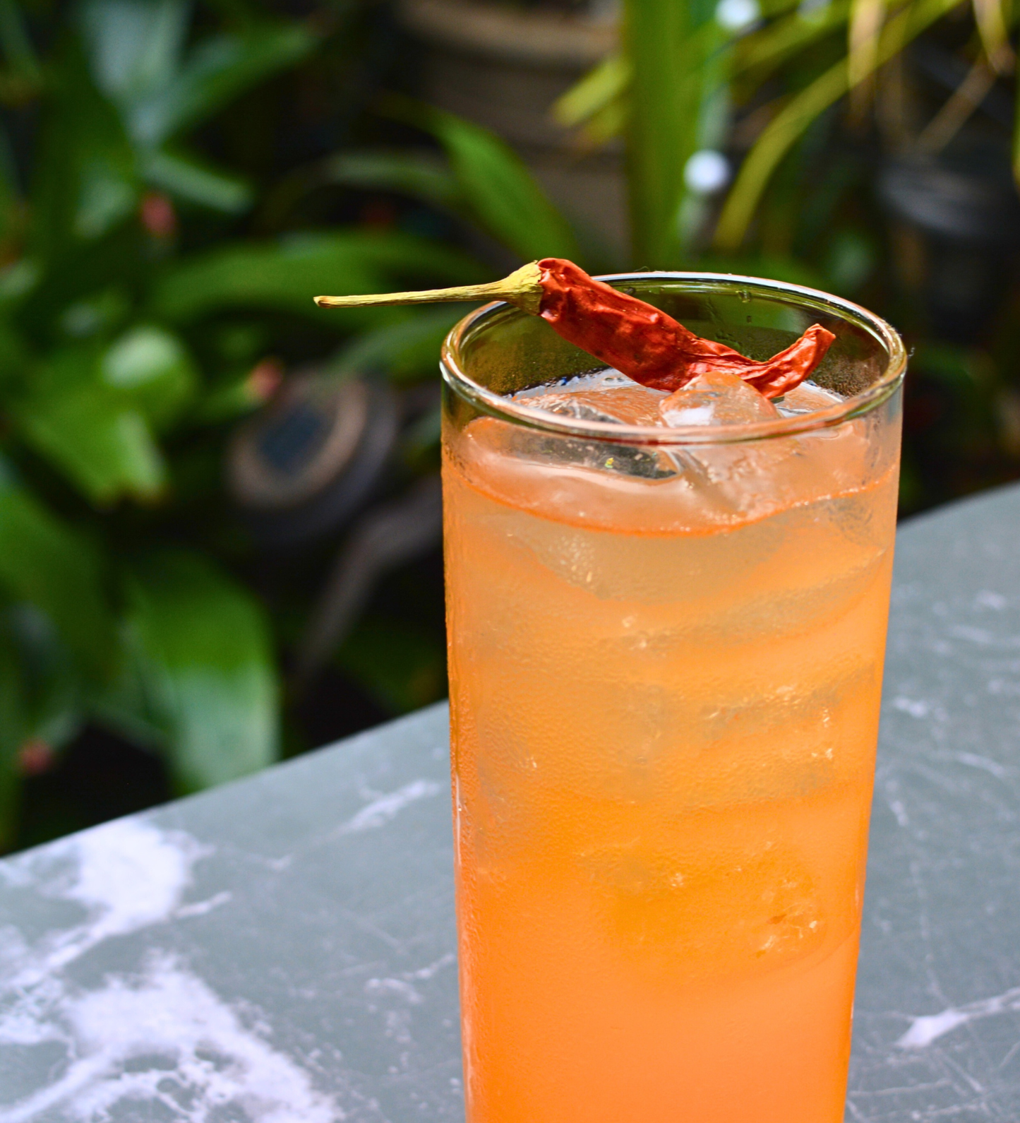 Full Collection ⎮Cocktail Garnish⎮ LIME - LEMON - ORANGE - GRAPEFRUIT - BLOOD-ORANGE - FLOWER MIX - PEPPERS