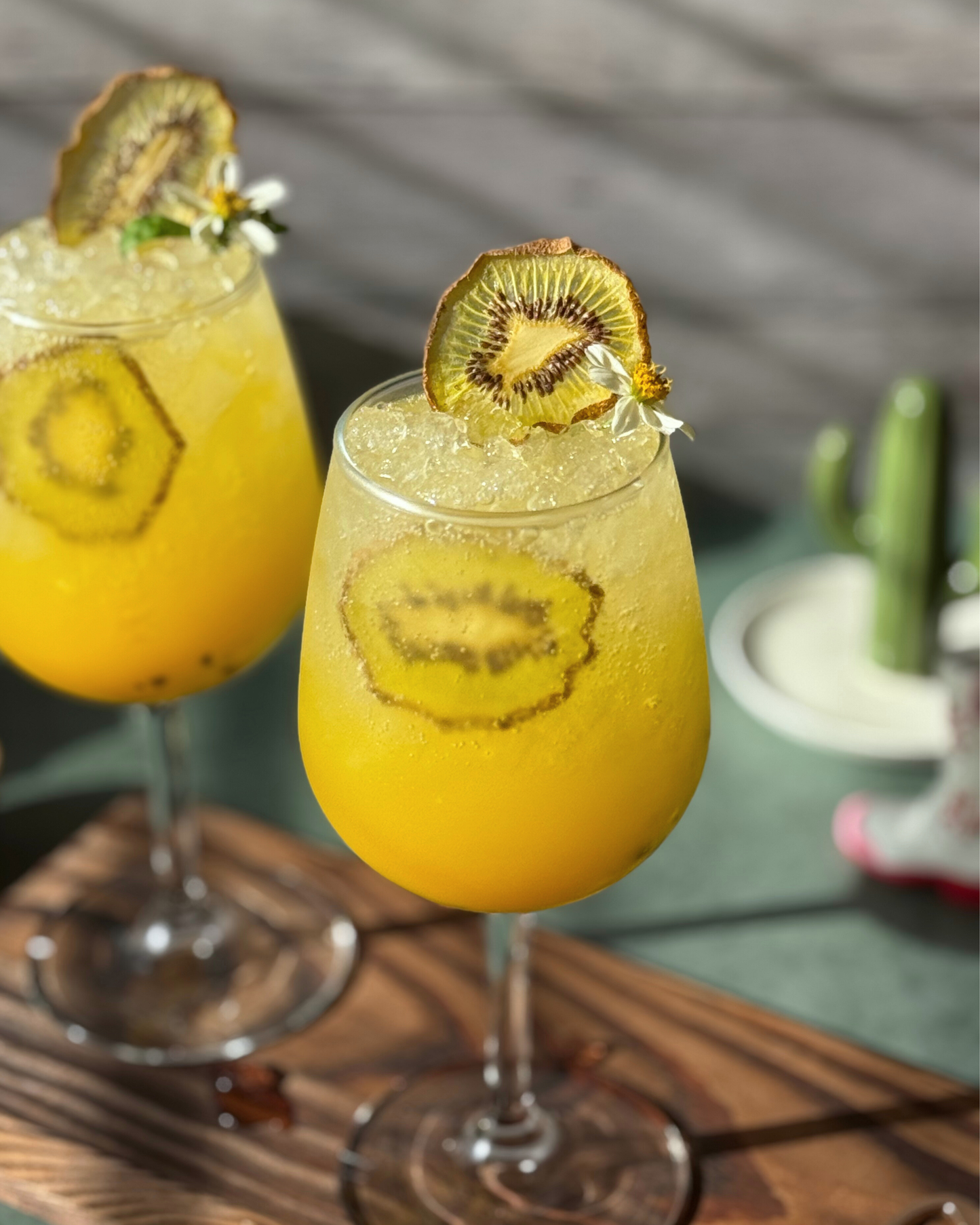 Seasonal Dried Kiwis | 50± Slices | DRIED FRUITS for Cocktail Garnishes & More