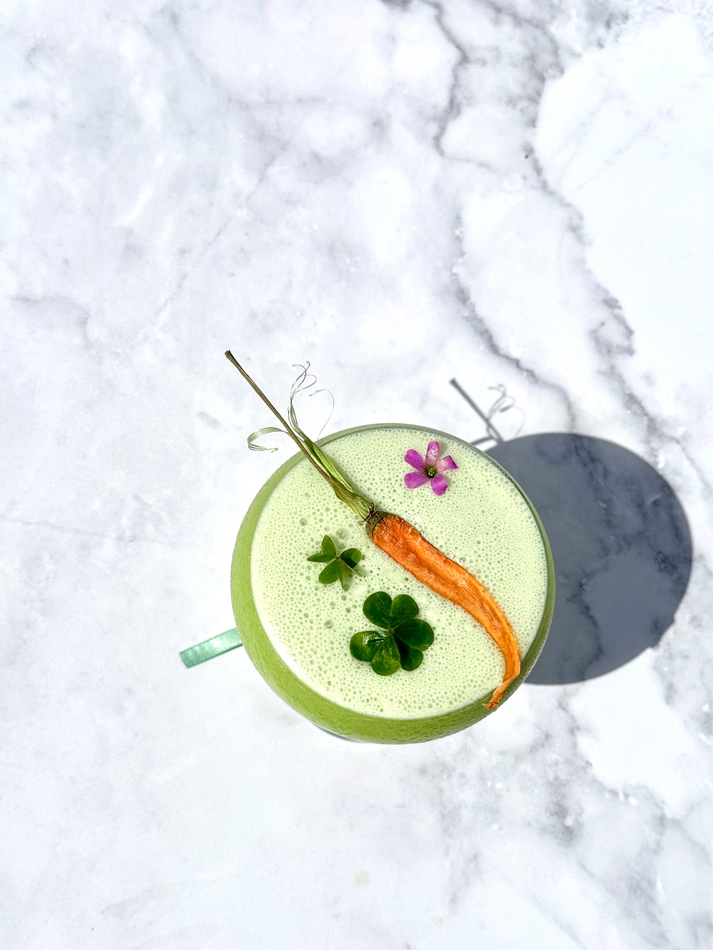 Dried Carrots | 20± Slices | Preserved Peel Premium DRIED GARNISH | Luxury Cocktail Decor for Bars and Home Hosts.