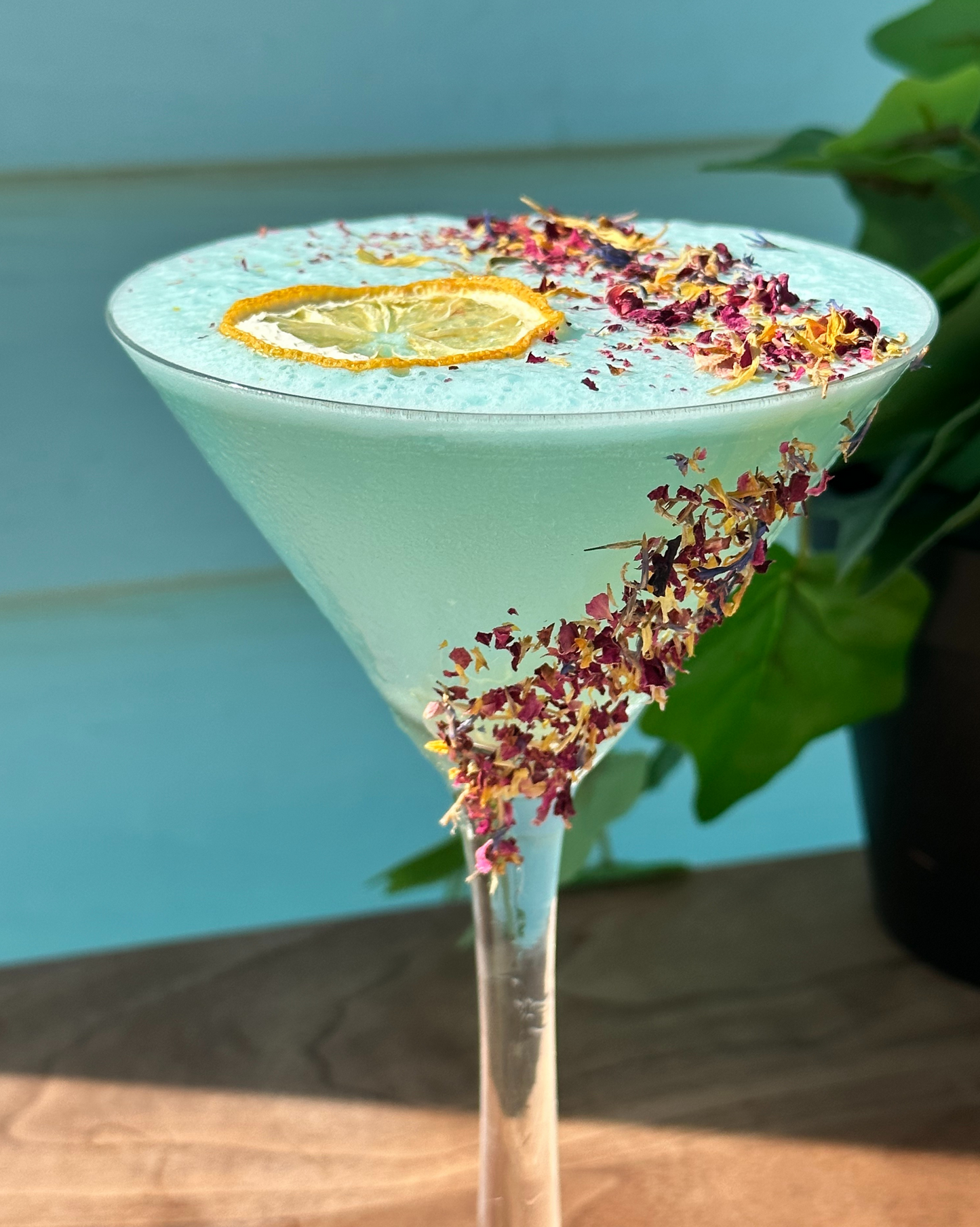 Save 10% ⎮ 4 PACK Dehydrated Fruits⎮ LIME - LEMON - ORANGE - GRAPEFRUIT⎮ PREMIUM COCKTAIL GARNISHES