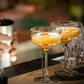 Bars with fancy cocktail and garnishments
