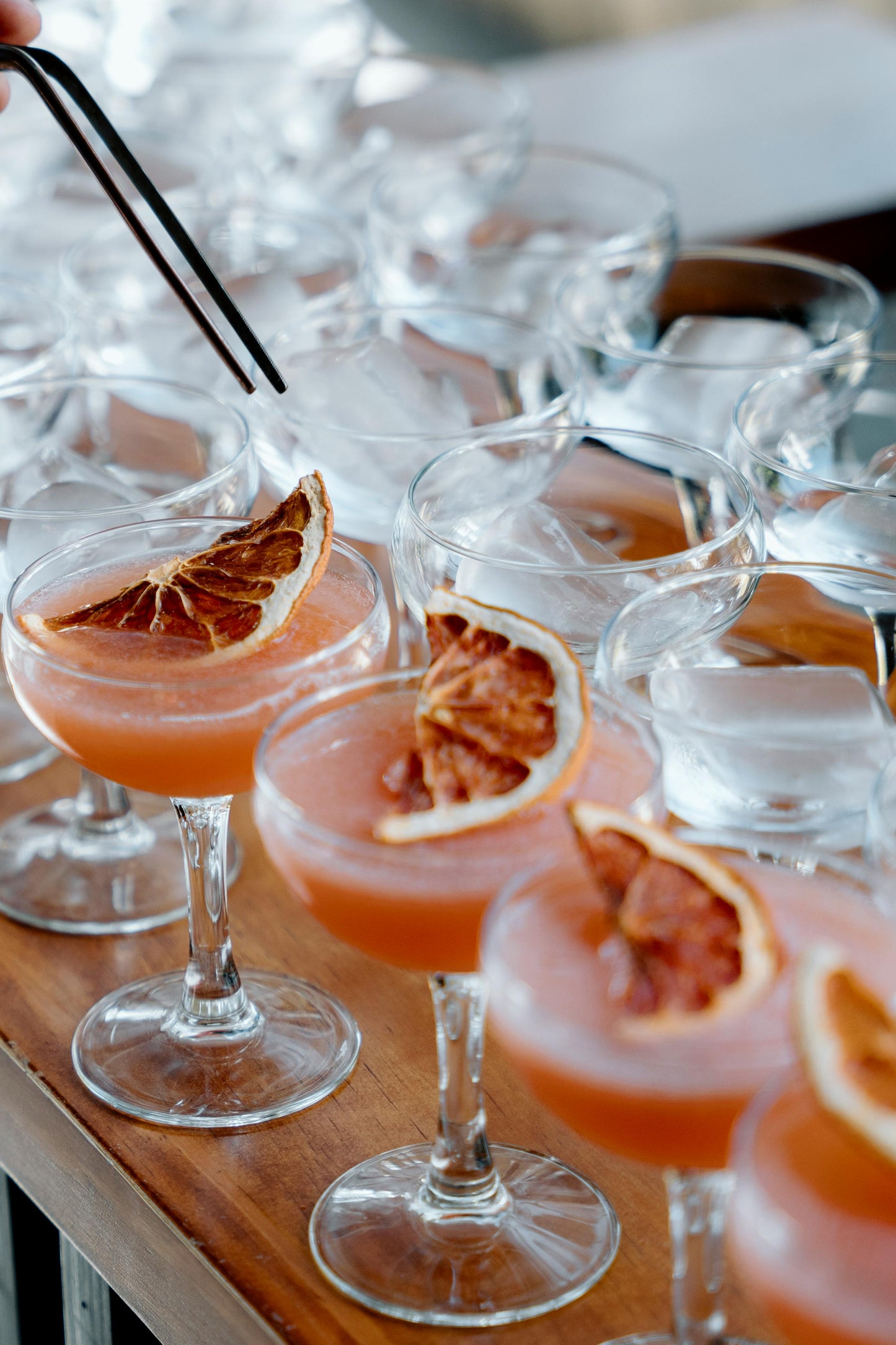 Dehydrated Half Grapefruit Slice | 40± Slices | DRIED FRUITS for Cocktail Garnishes & More